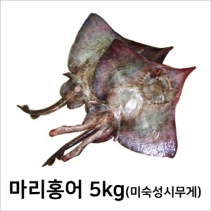 마리홍어 5kg(미숙성시 무게)-칠레산